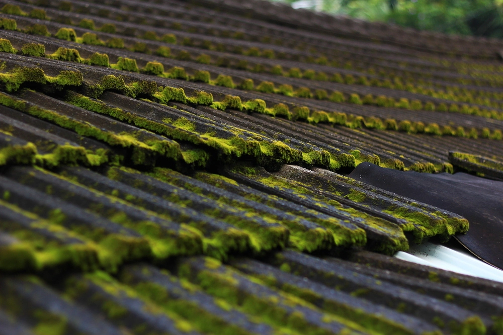 Traitement algicide concontré